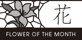 ギャラリーの花